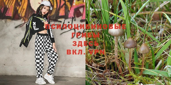 кокаин Аркадак