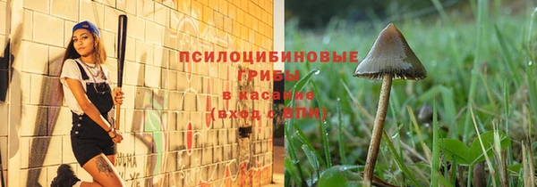 спайс Алексеевка